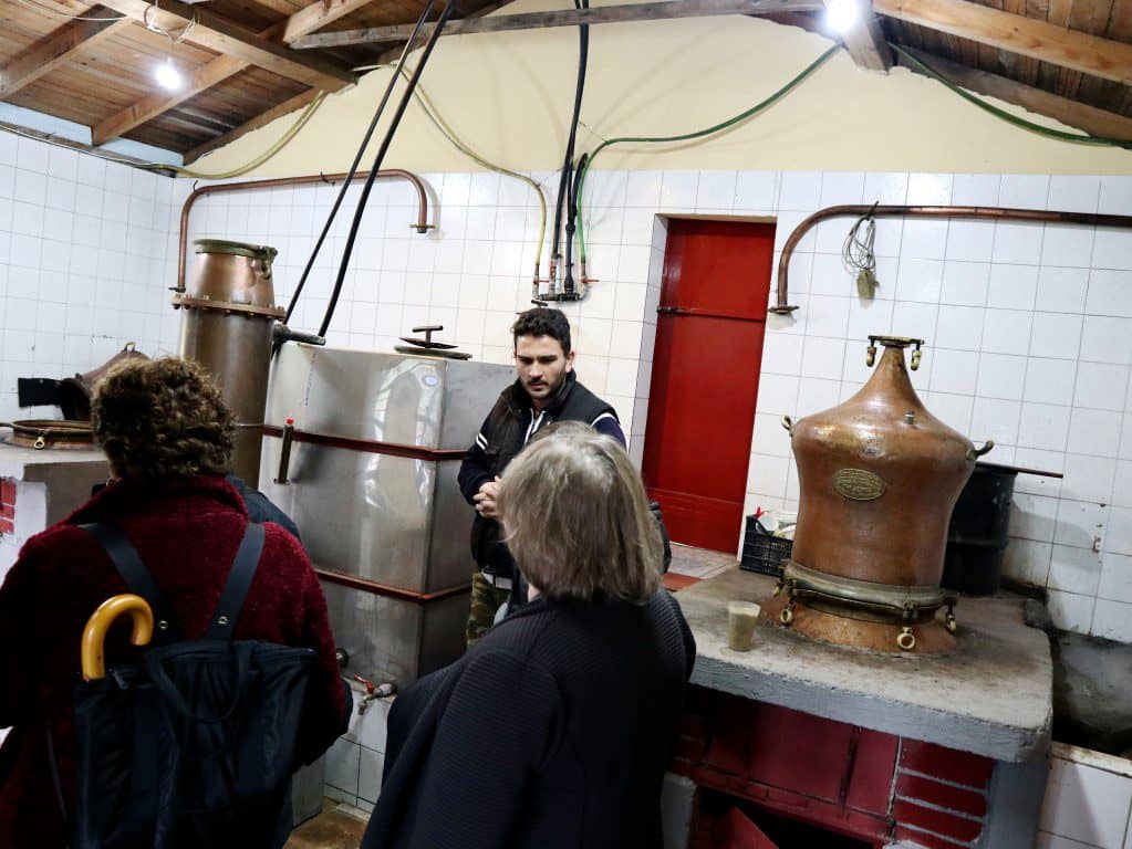 Polychros Winery - tsipouro distillery