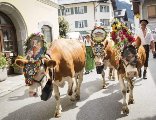 Almabtrieb in Raurisertal – versierde koeien terug naar het dal